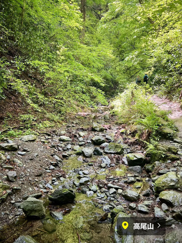【高尾山】都心から電車で行ける高尾山⛰️