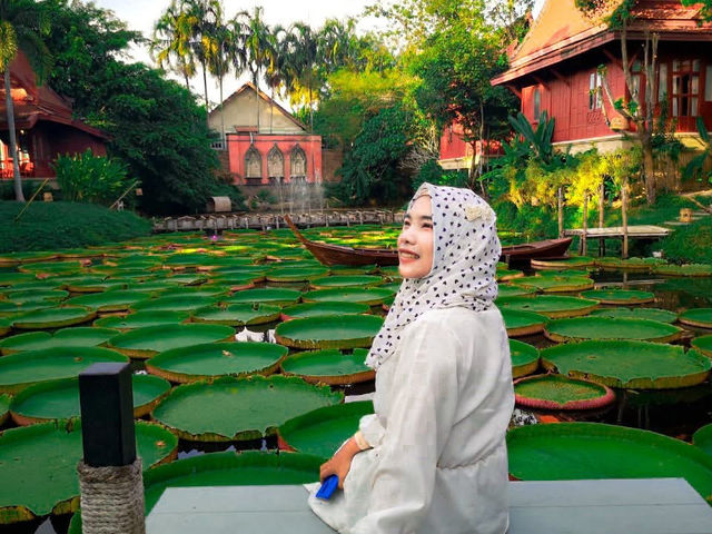 มาดูบัว คาเฟ่ - ภูเก็ต