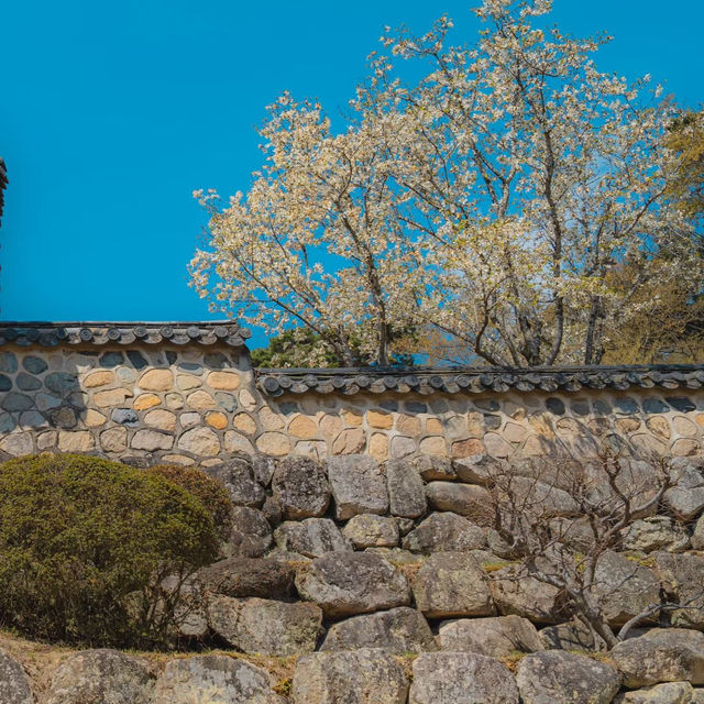 絲原家庭園～美麗的日本庭院
