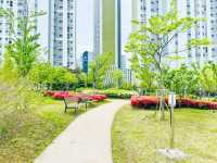 A Park for Everyone: Gungri’s Charm