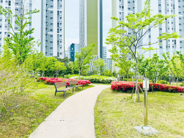A Park for Everyone: Gungri’s Charm