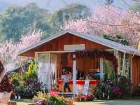 22 Aquarius Glamping Cafe