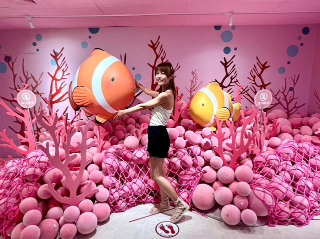 小丑魚迷們一定要來的澎湖室內景點～