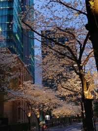 City Lights, Cool Vibes, and Petals on the Side