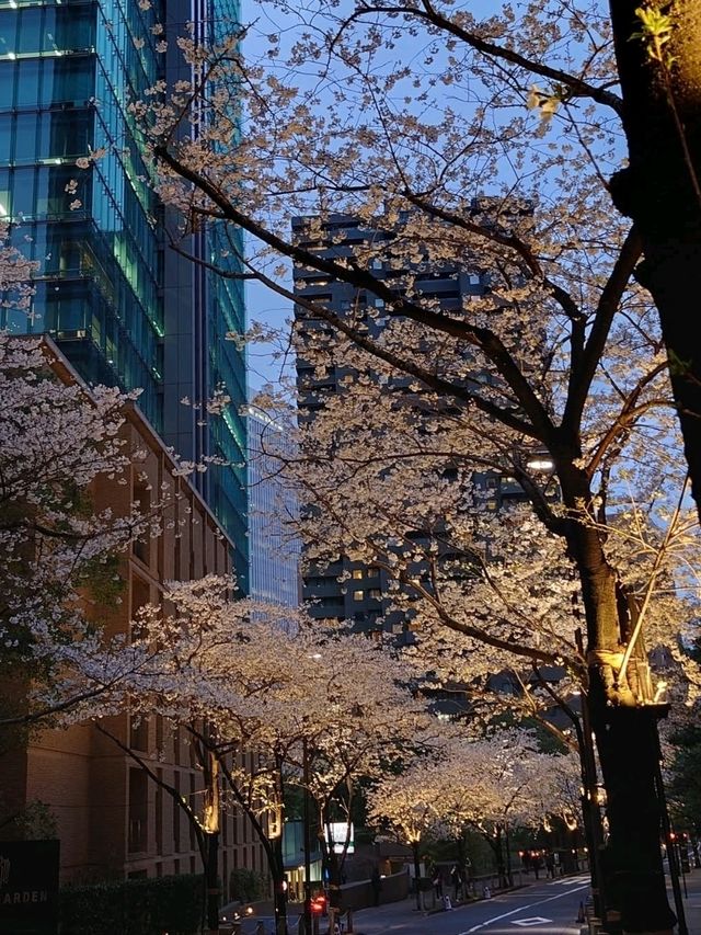 City Lights, Cool Vibes, and Petals on the Side