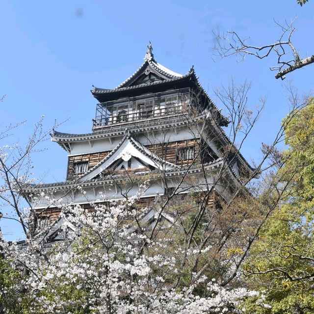 Sakura Blooming in Hiroshima: A City in Full Bloom
