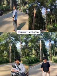 แพลนเที่ยวเชียงดาว 1 วัน 