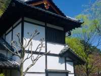 Cherry Blossoms in April: Japan's Hidden Garden Gems