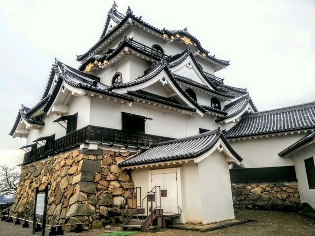 #彥根城-日本滋賀縣彥根市