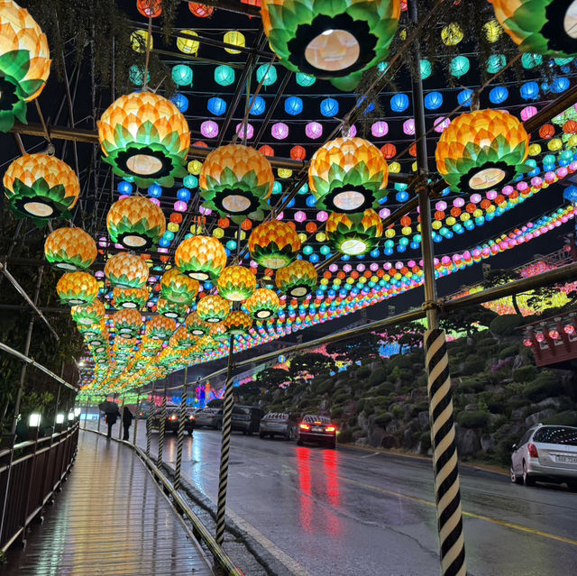 삼광사 연등축제