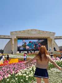 네덜란드 갈 필요 없어요🌷에버랜드 튤립 축제 완전 정복