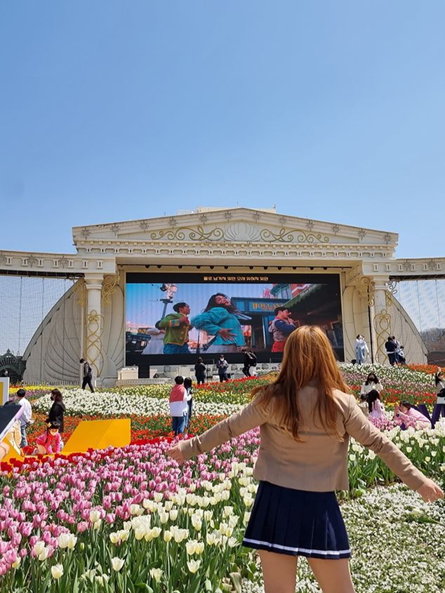네덜란드 갈 필요 없어요🌷에버랜드 튤립 축제 완전 정복
