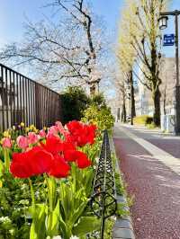 Five Minutes from the Crowd, a World Away in Bloom