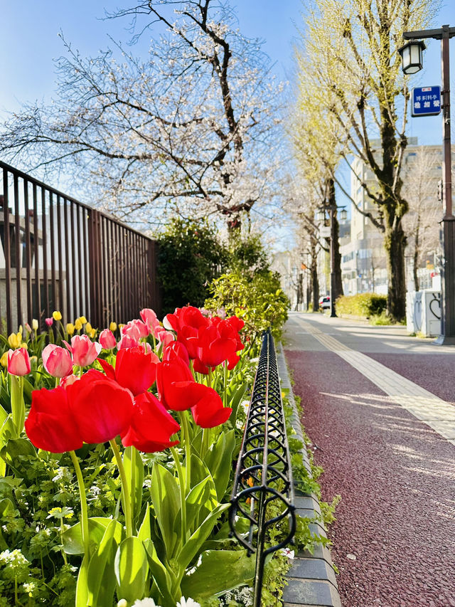 Five Minutes from the Crowd, a World Away in Bloom