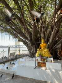 วัดทองบน วัดสวย บรรยากาศดีริมแม่น้ำเจ้าพระยา