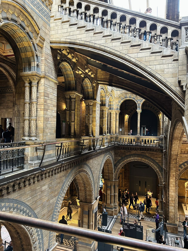 🦖 Natural History Museum, London UK 🦕