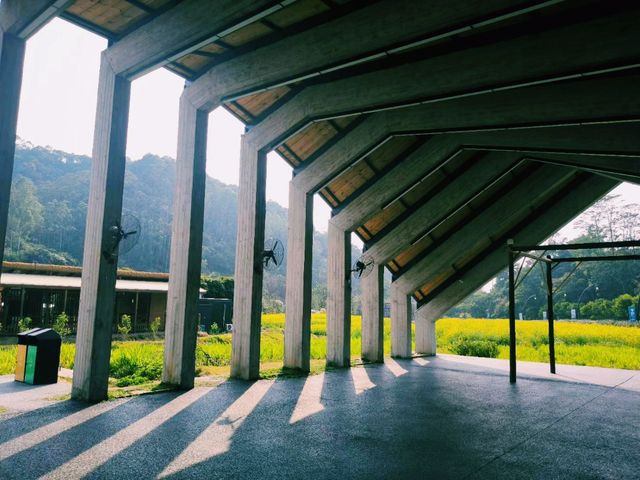 中國廣州著名景點：天人山水度假區·大地藝術園，適合打卡拍照📸