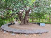 #巴克禮紀念公園-臺南市東區