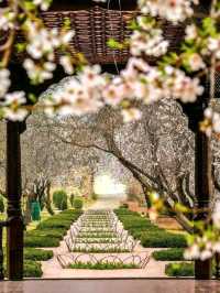 Srinagar – A Soulful Symphony of Lakes, Mountains, and Culture