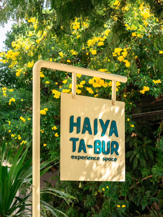 Haiya TaBur - experience space ☕