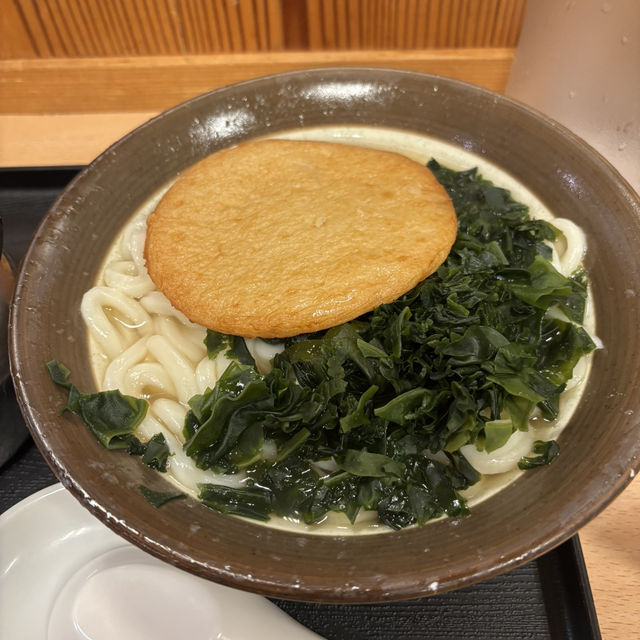 【福岡～八女】うどんとグルメで満腹！自然の恵みを味わう、2日間のとっておき旅🍽🍇🍵