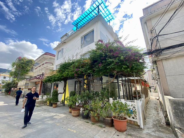 ✨🏡深圳大鵬溫馨小清新🌱民宿入住體驗