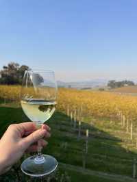 Yarra Valley Wine Tour