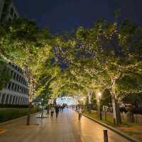御堂筋大道（Midosuji Boulevard）