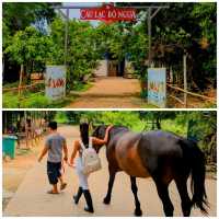 Horse Riding - Hanoi's Hidden Gem