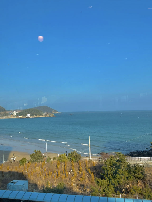 송정 가족여행 코스 후기🌊