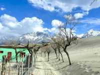 Valley Civilization—perfect for history 