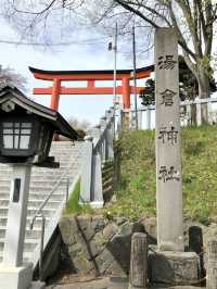 A Laid-Back Day in Hakodate – Bayside Strolls & Starry Views
