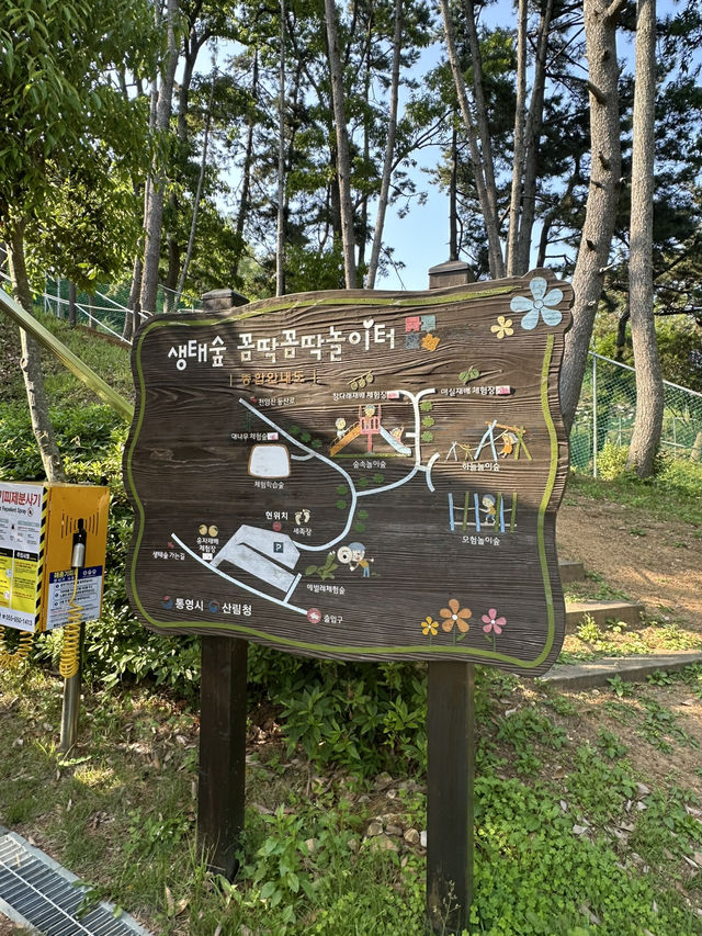 🌳 통영생태숲에서 자연과 한몸이 된 하루! 🍃