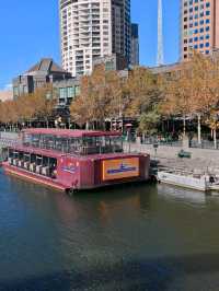 Lovely walk around Yarra River