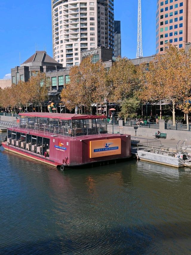 Lovely walk around Yarra River