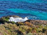 A Perfect Escape to Rottnest Island
