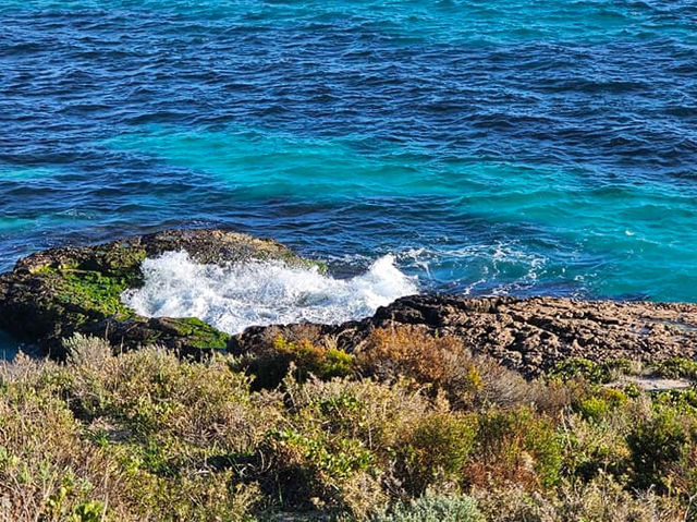 A Perfect Escape to Rottnest Island