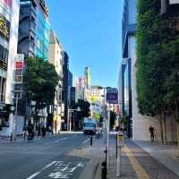 후쿠오카의 여름은 아름답다 🇯🇵🌿