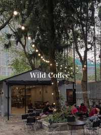 Wild Coffee