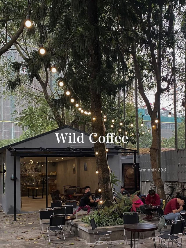 Wild Coffee