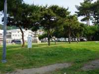 백제 웅진의 숨결 따라, 공주 반죽동 당간지주 산책🐾