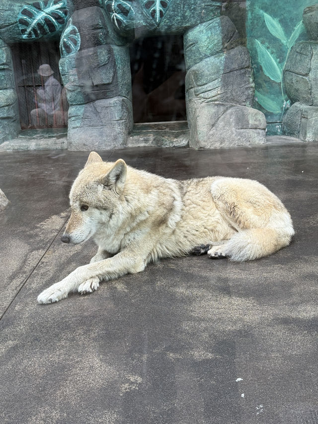 大阪天王寺動物園