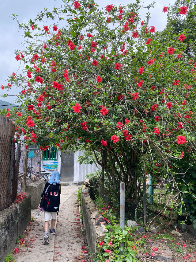 香港｜歷史悠久的山中之村落——赤徑村🏠🌳