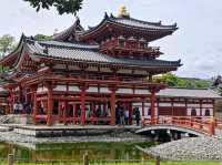 宇治 平等院