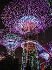 สิงคโปร์🇸🇬