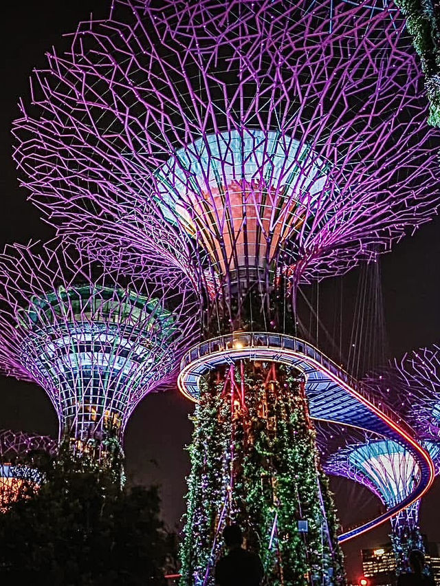 สิงคโปร์🇸🇬