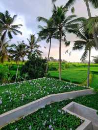 Inara Alas Harum Hotel & Resort: A Romantic Escape into Nature's Embrace. 