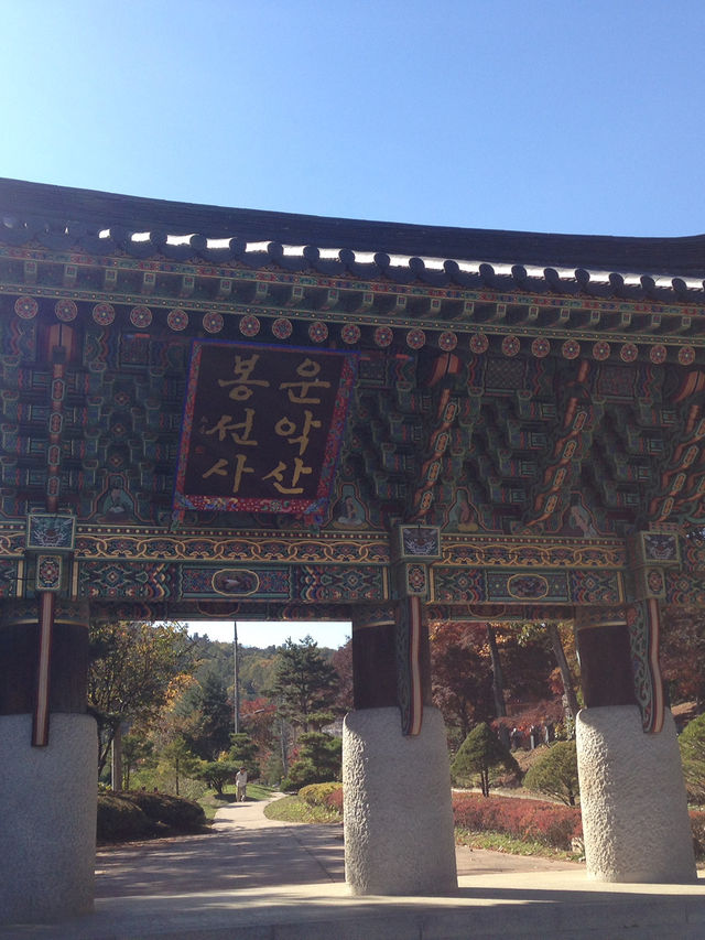 운악산 봉선사와 국화