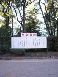 【明治神宮】都会の真ん中で、心が洗われる森へ🌿⛩️