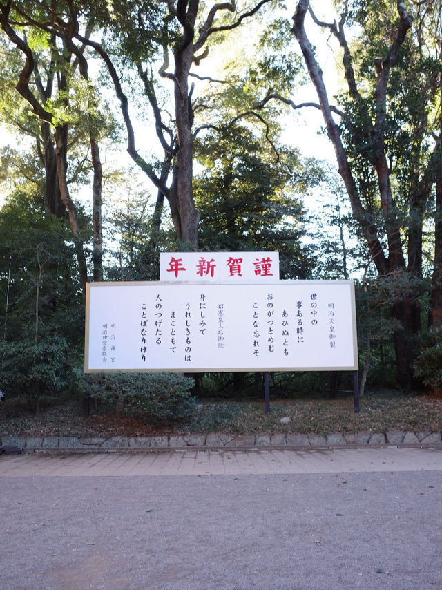 【明治神宮】都会の真ん中で、心が洗われる森へ🌿⛩️
